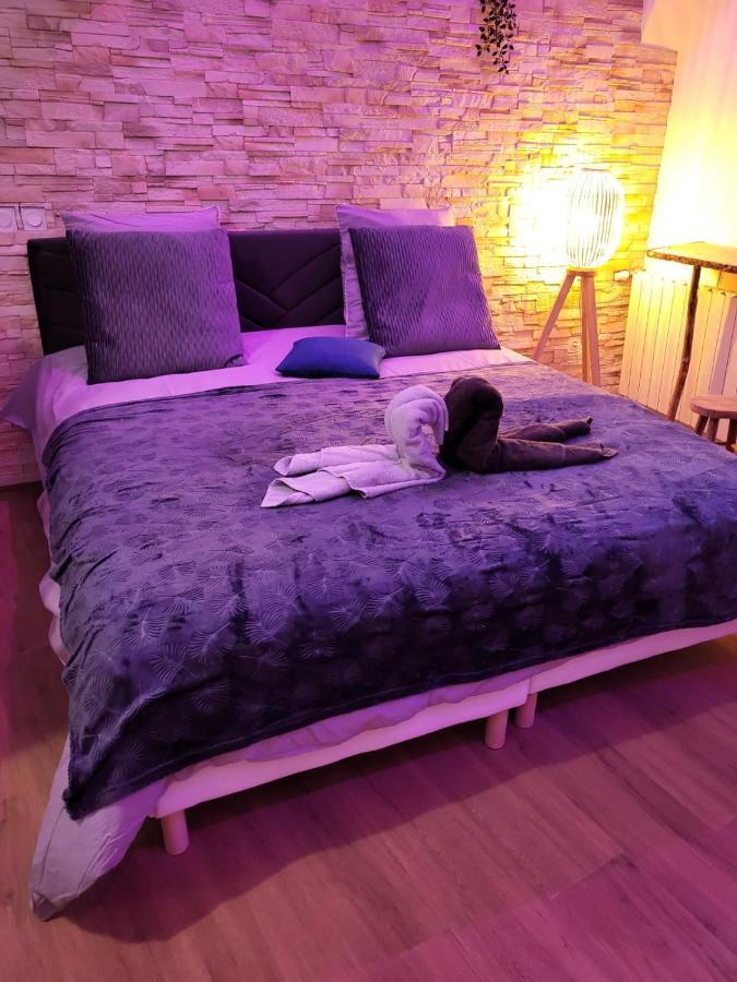 Le Spa De La Cathedrale - Jacuzzi - Sauna - Champagne - Netflix - Wifi Troyes Luaran gambar