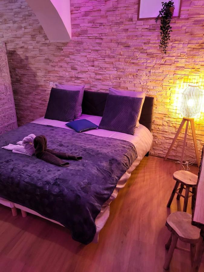 Le Spa De La Cathedrale - Jacuzzi - Sauna - Champagne - Netflix - Wifi Troyes Luaran gambar