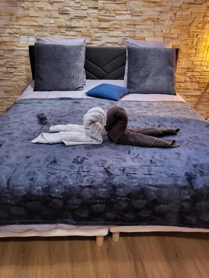 Le Spa De La Cathedrale - Jacuzzi - Sauna - Champagne - Netflix - Wifi Troyes Luaran gambar