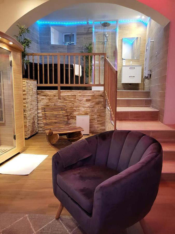 Le Spa De La Cathedrale - Jacuzzi - Sauna - Champagne - Netflix - Wifi Troyes Luaran gambar