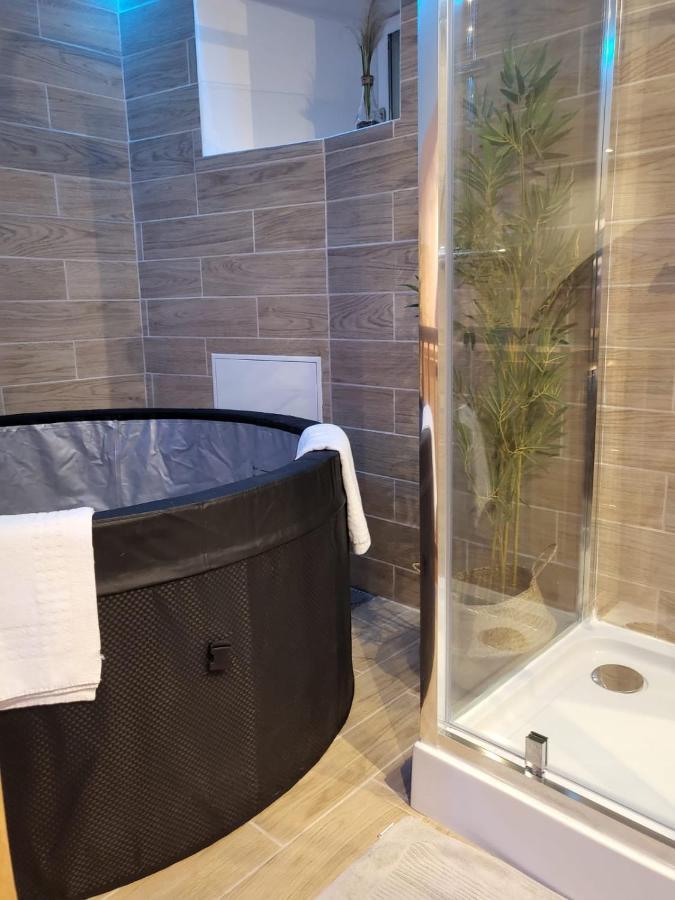 Le Spa De La Cathedrale - Jacuzzi - Sauna - Champagne - Netflix - Wifi Troyes Luaran gambar