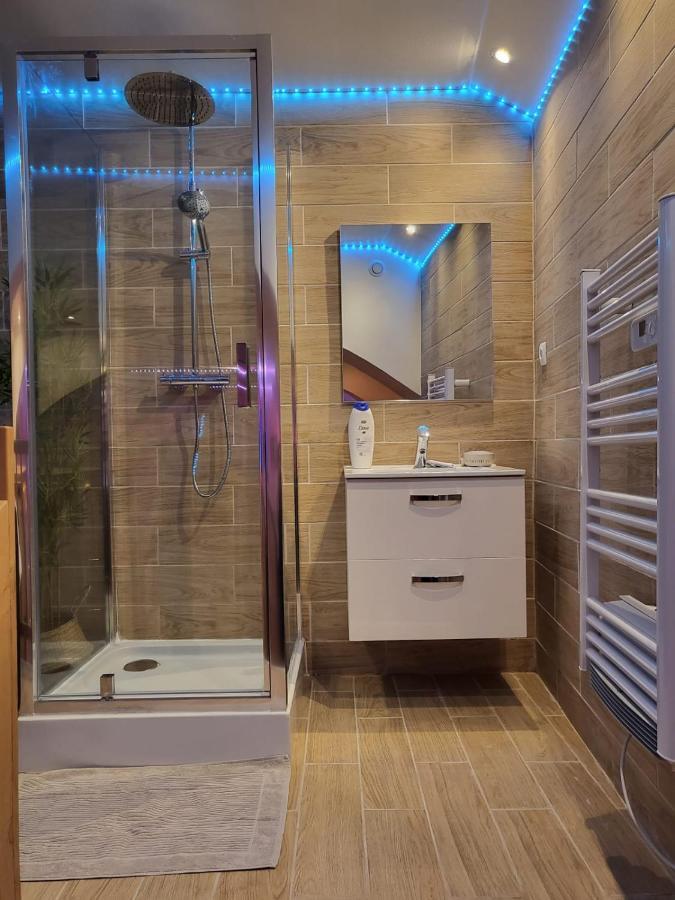 Le Spa De La Cathedrale - Jacuzzi - Sauna - Champagne - Netflix - Wifi Troyes Luaran gambar